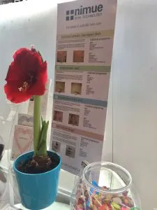 Revive Salon Reception
